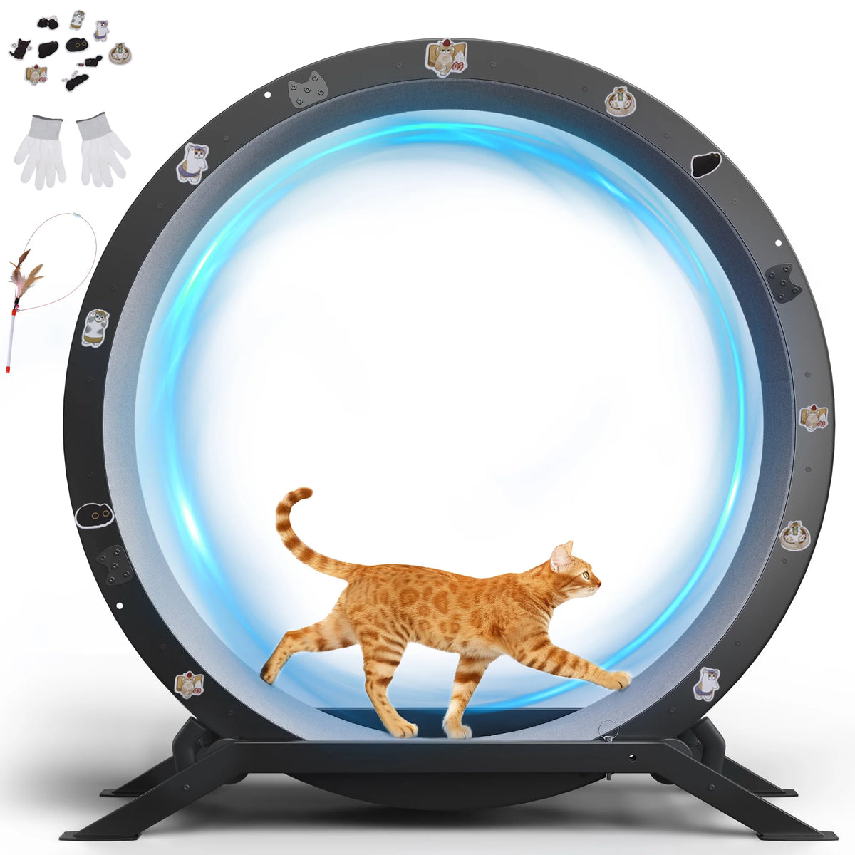 Roue pour chat GTPLAYER, structure métal sur piètement