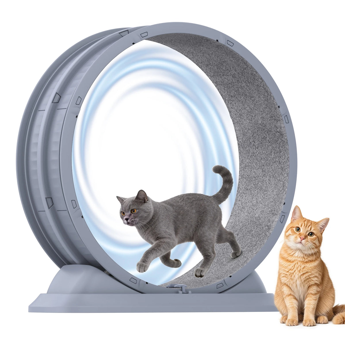 Roue pour chat 80cm, tapis amovible et verrou de sécurité