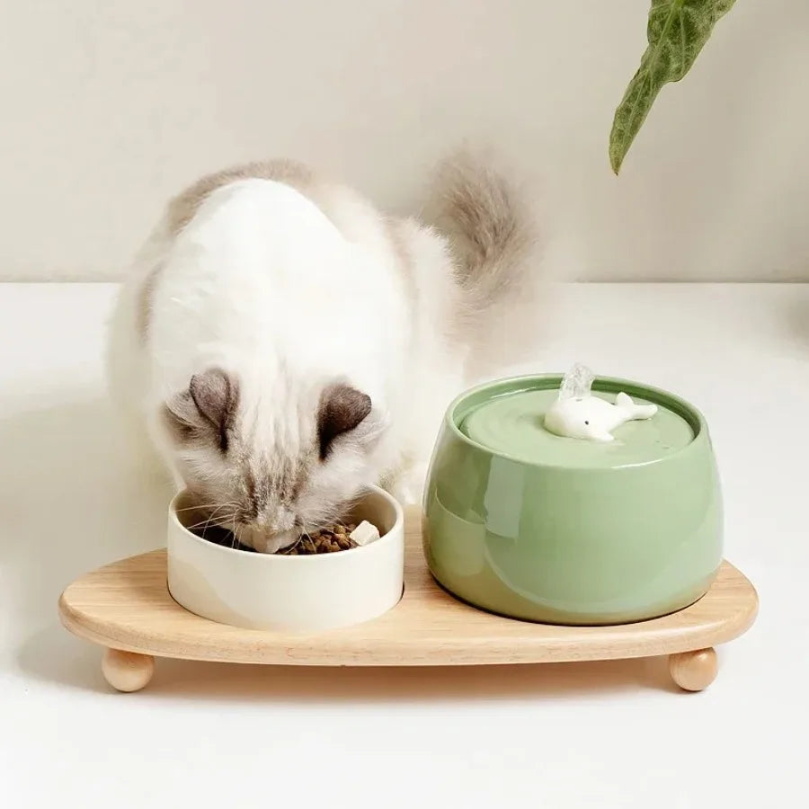Fontaine à eau chat en céramique