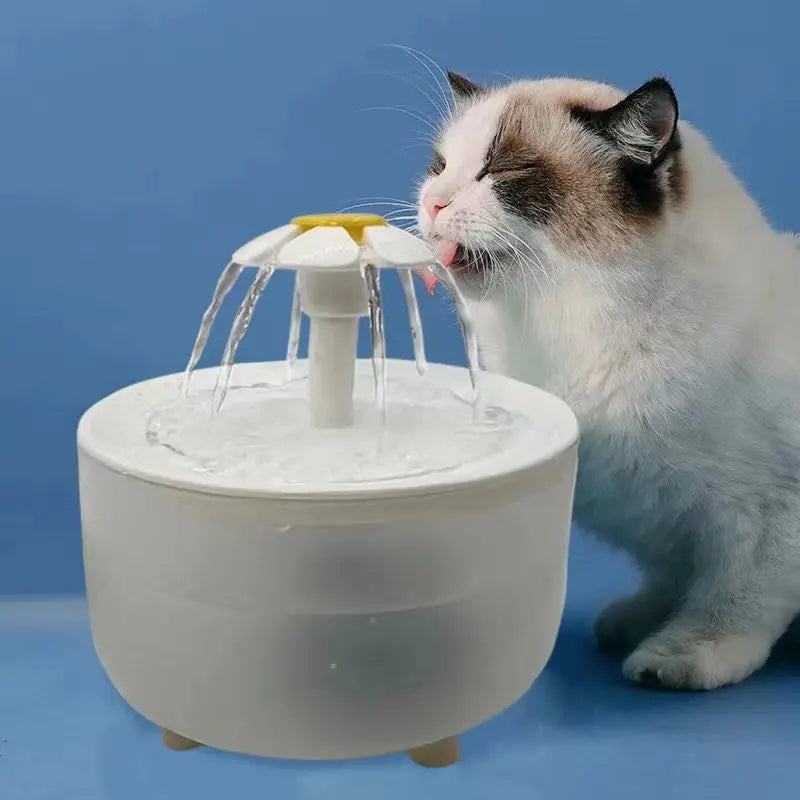 Fontaine à eau chat RecirBMO avec filtre, 1,2L
