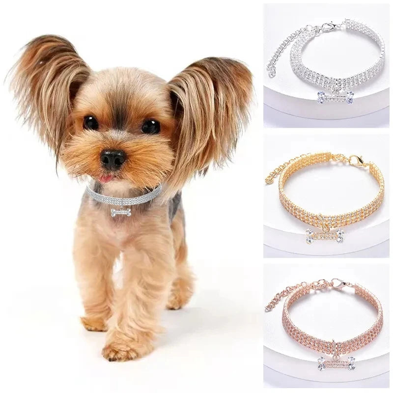 Collier en cristal et strass pour chat, pendentif en forme d'os