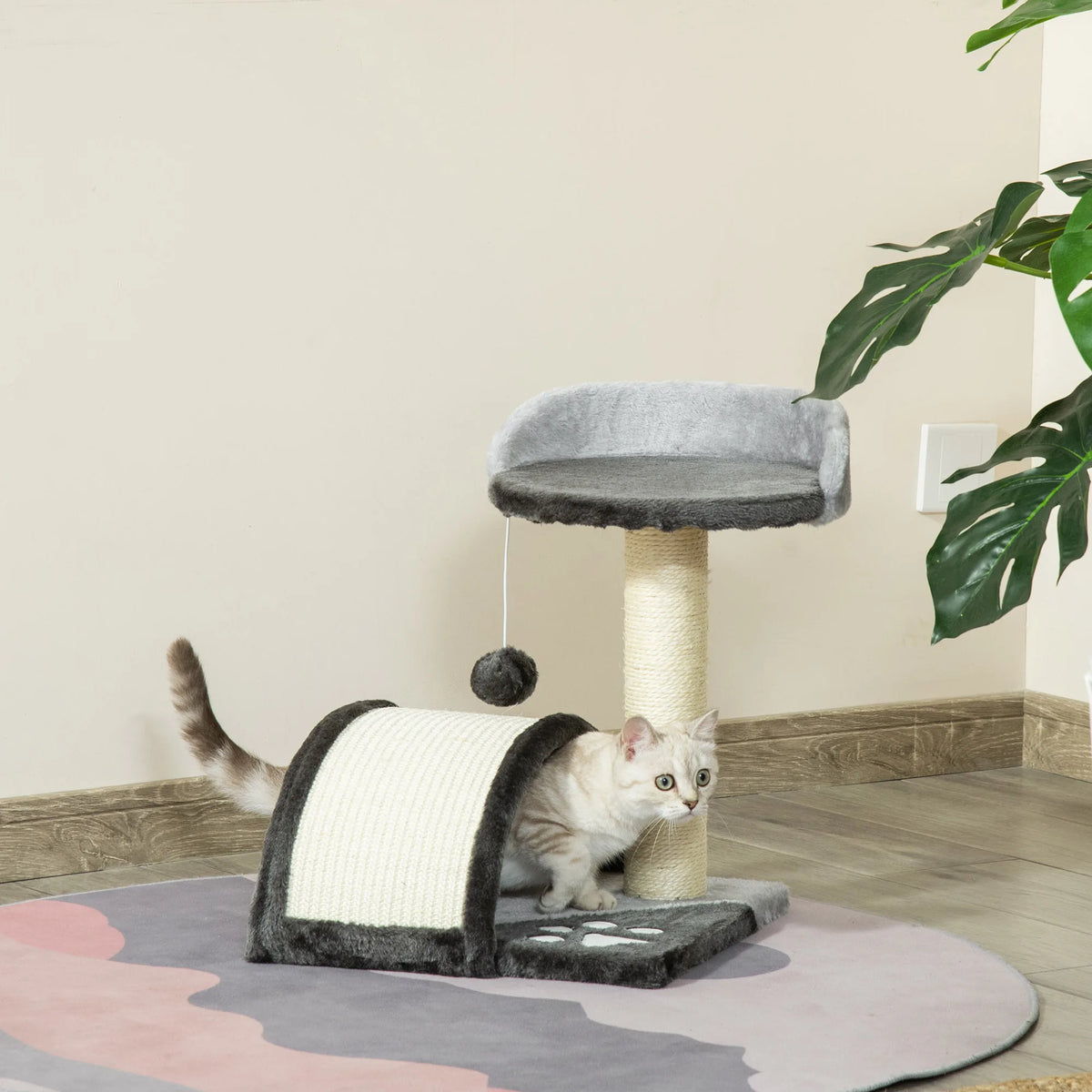 Arbre à chat pas cher 2 niveaux