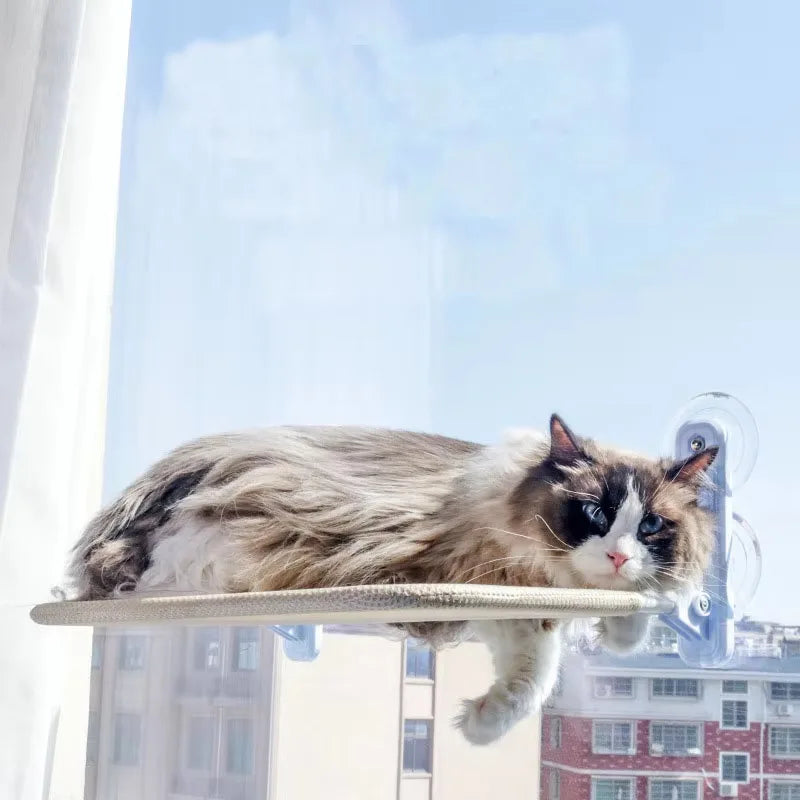 Hamac pliable pour chat à ventouses de fenêtre, nid suspendu, griffoir mural intégré