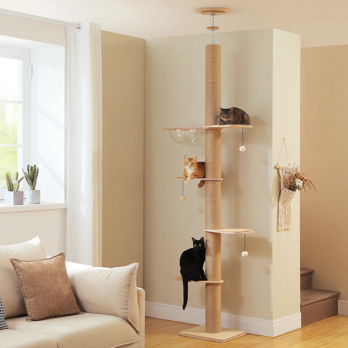 Arbre à chat solide du sol au plafond, poteaux épais