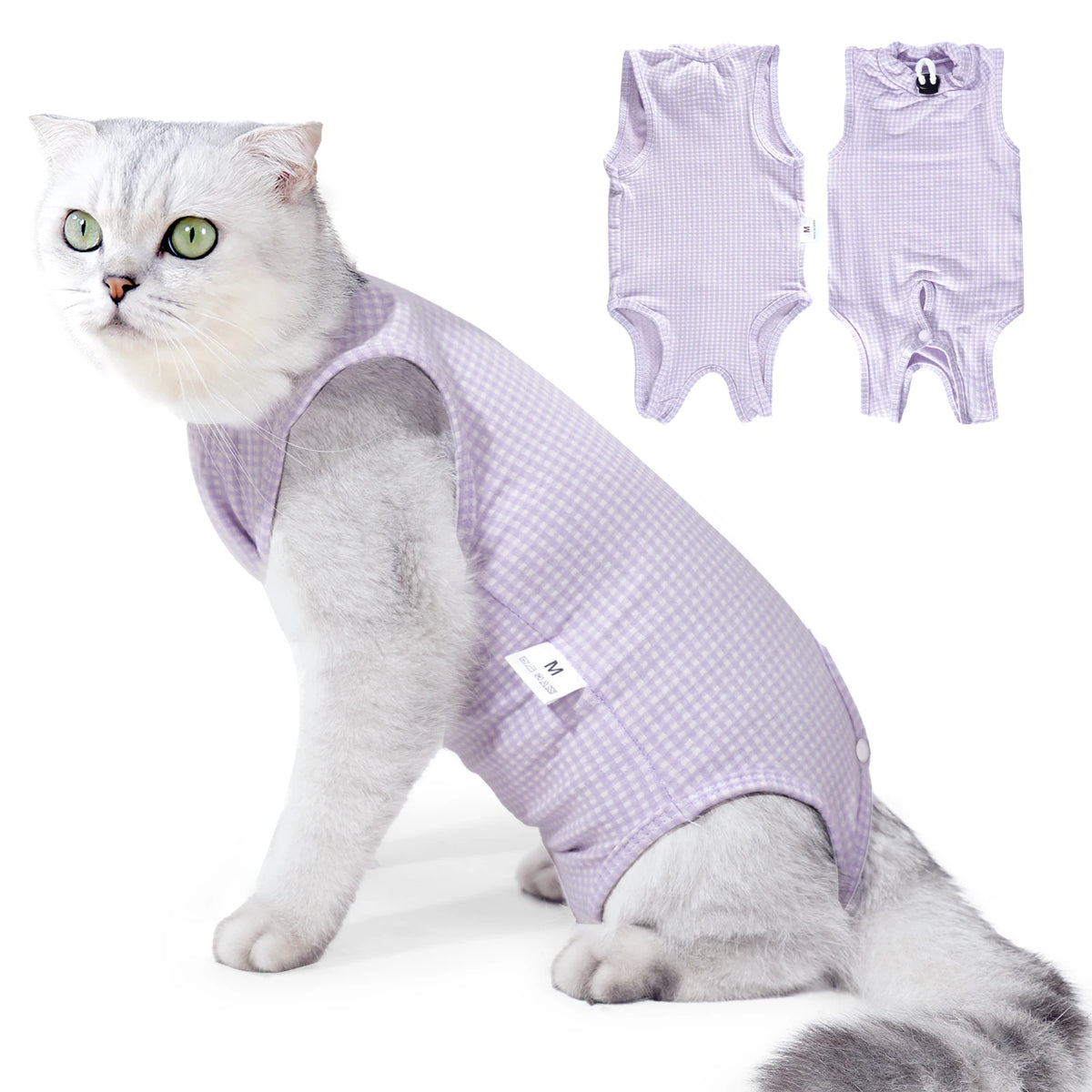 Body pour chat