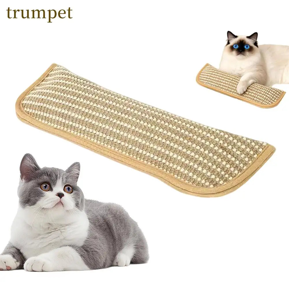 Coussin herbe à chat