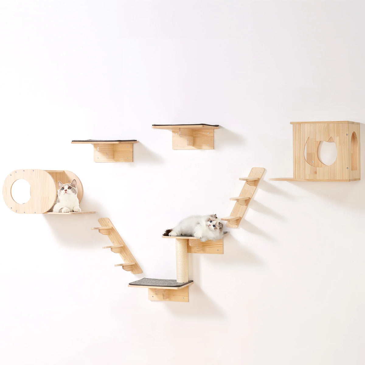 Kit modulaire d'étagères murales pour chat