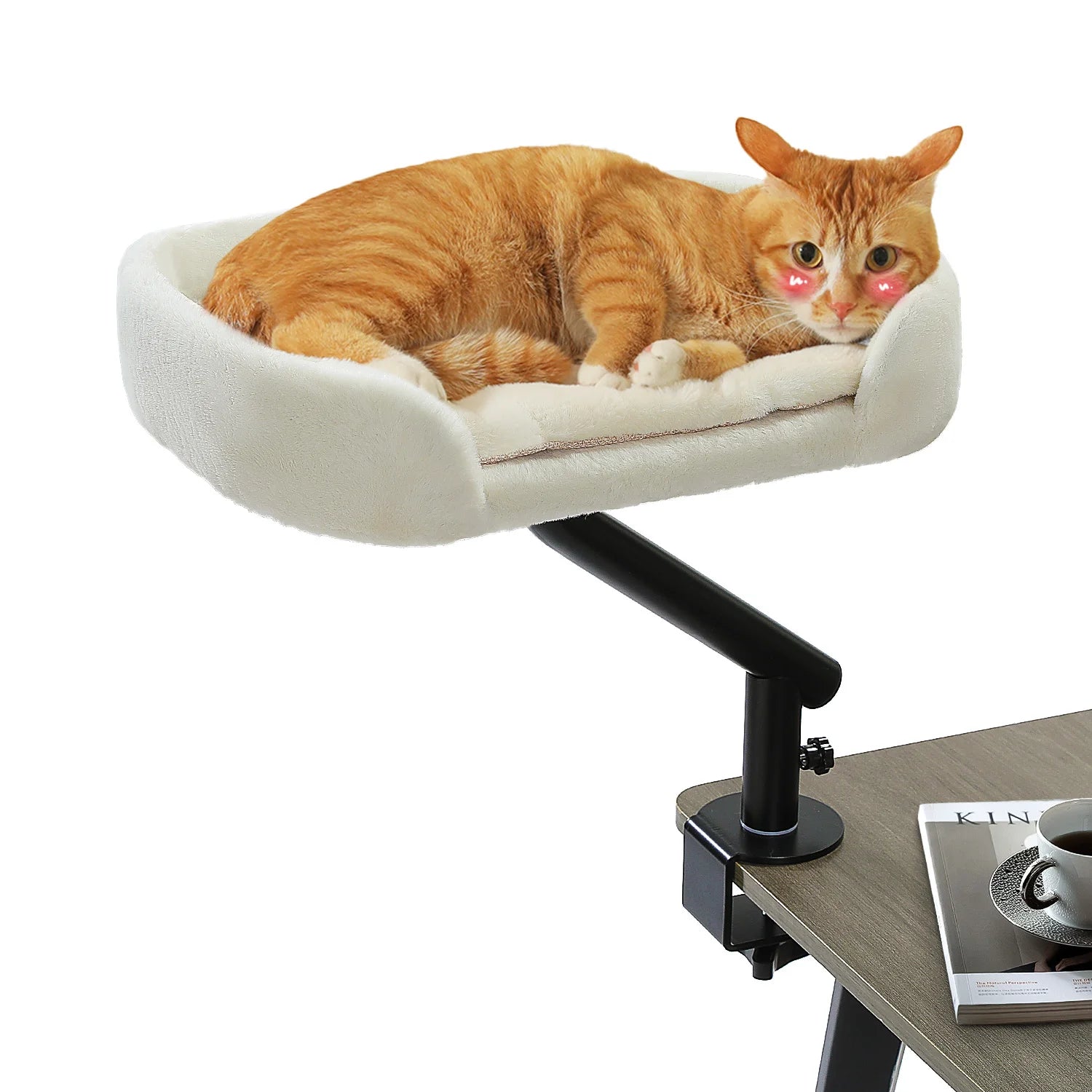 Panier pour chat de bureau, support rotatif 360°
