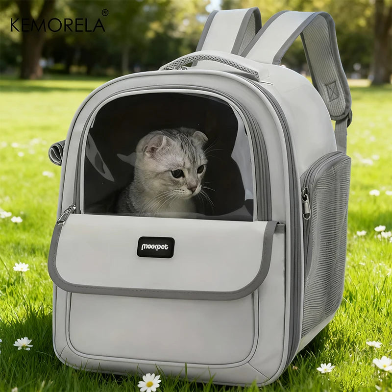 Sac à dos chat coque semi-rigide, compatible valise