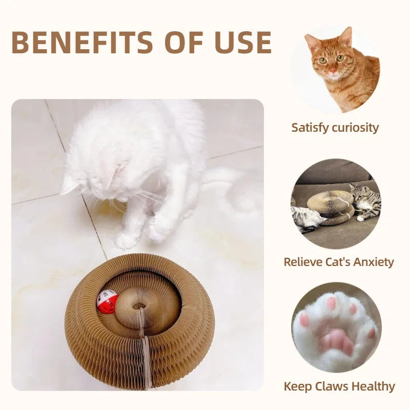 Griffoir rond en carton pour chat