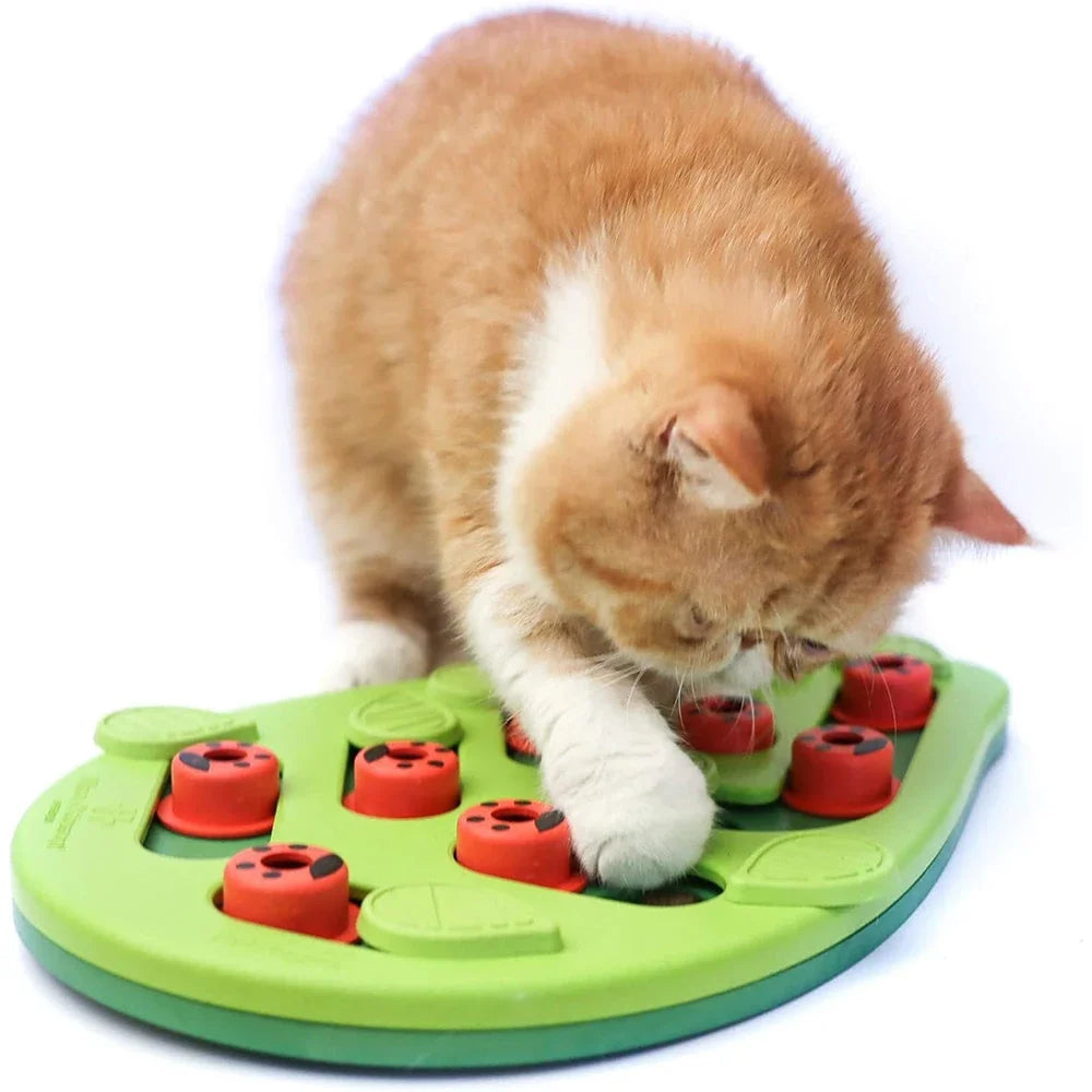 Puzzle alimentaire chat