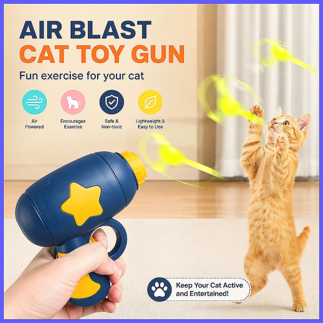 Lanceur de disques volants pour chat