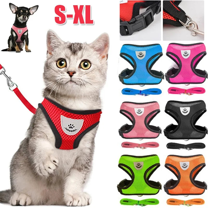 Harnais chat en maille avec laisse, réfléchissant