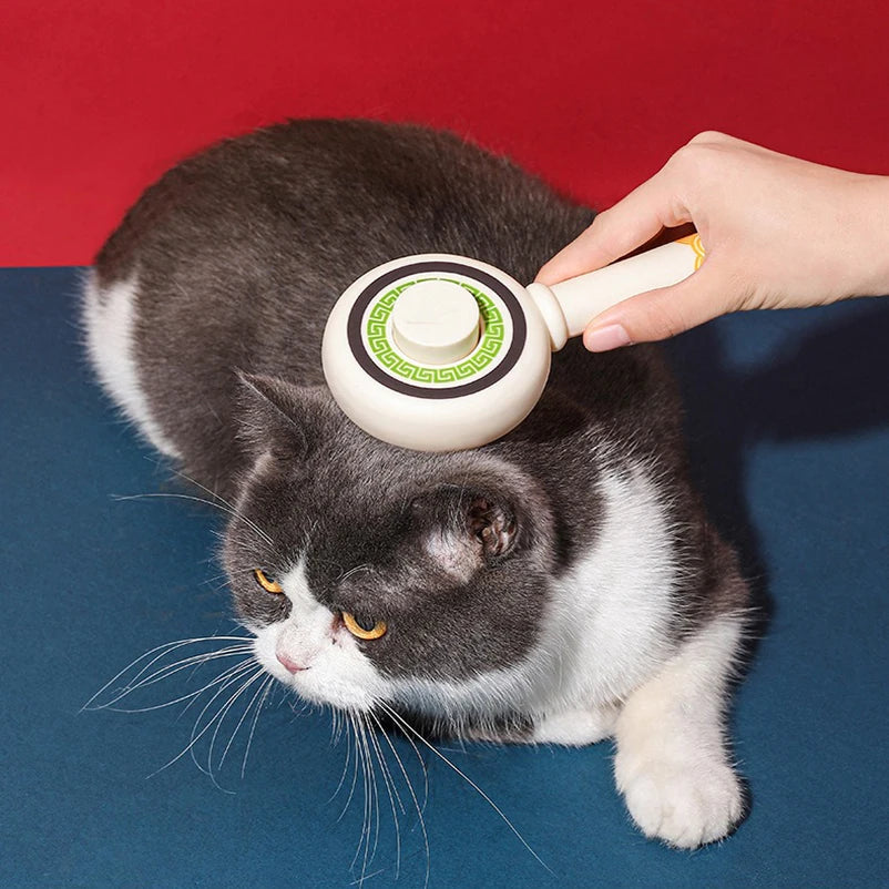 Brosse à aiguilles antistatique pour chat