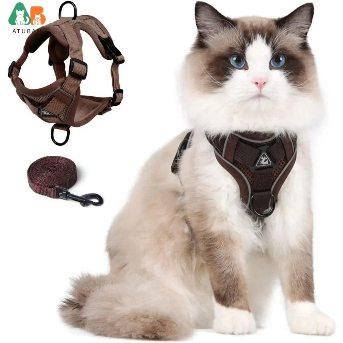 Harnais chat Maine Coon, S à XL avec laisse
