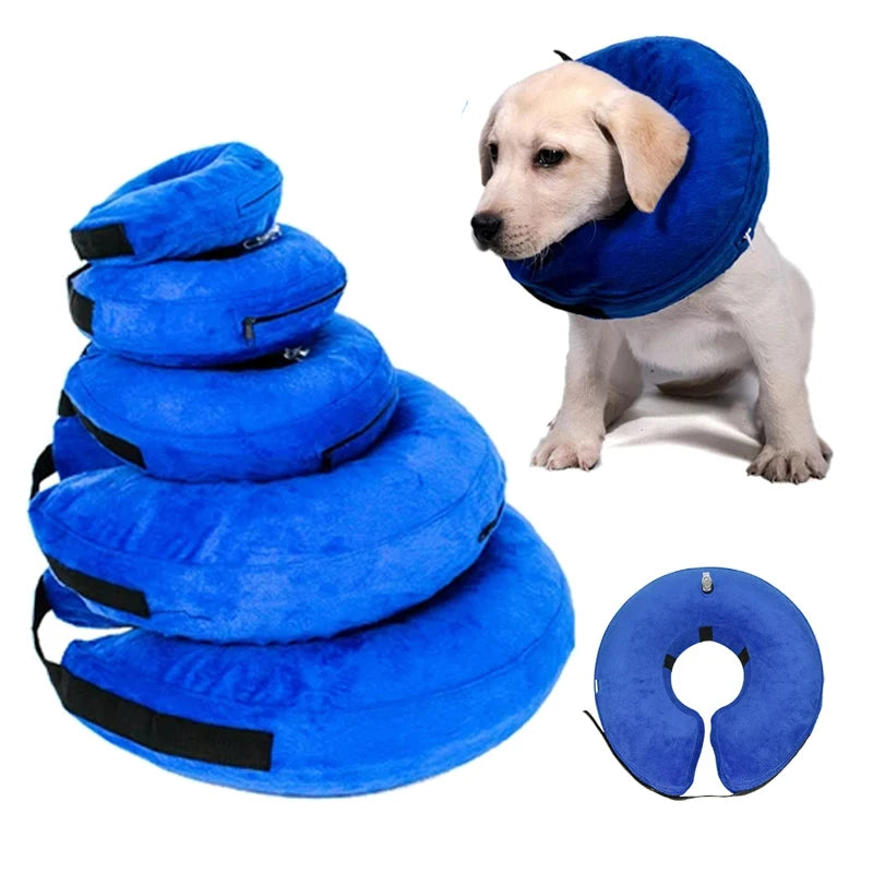Collerette chat gonflable, anneau de protection