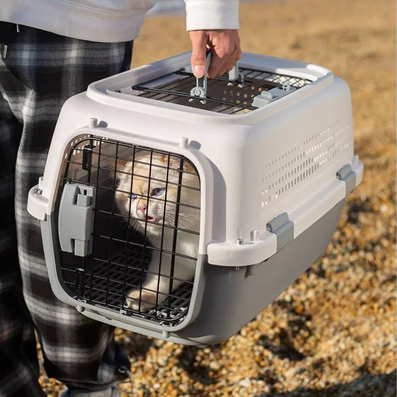 Caisse de transport chat, ouverture sur le dessus