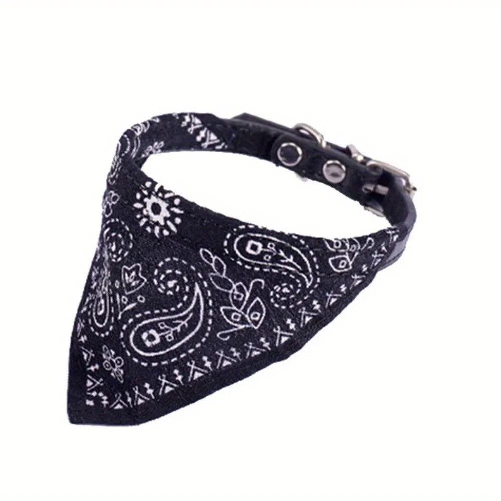 Collier bandana chat