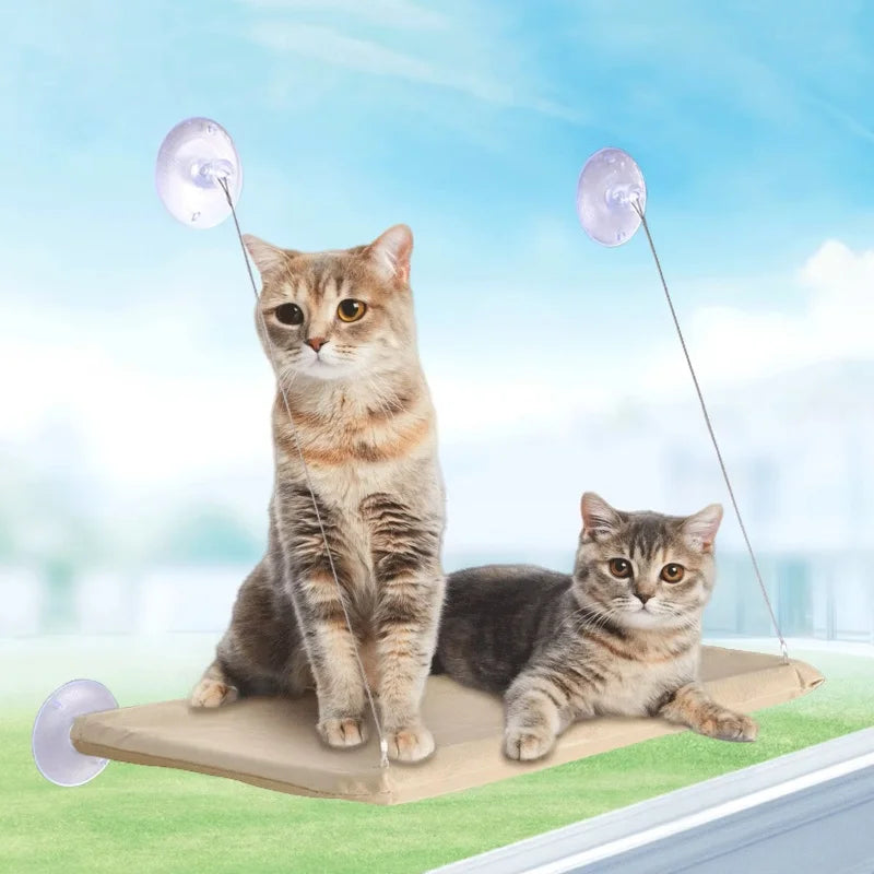 Hamac pour chat à ventouses XL (charge 20 kg), plateforme fenêtre avec structure d'escalade