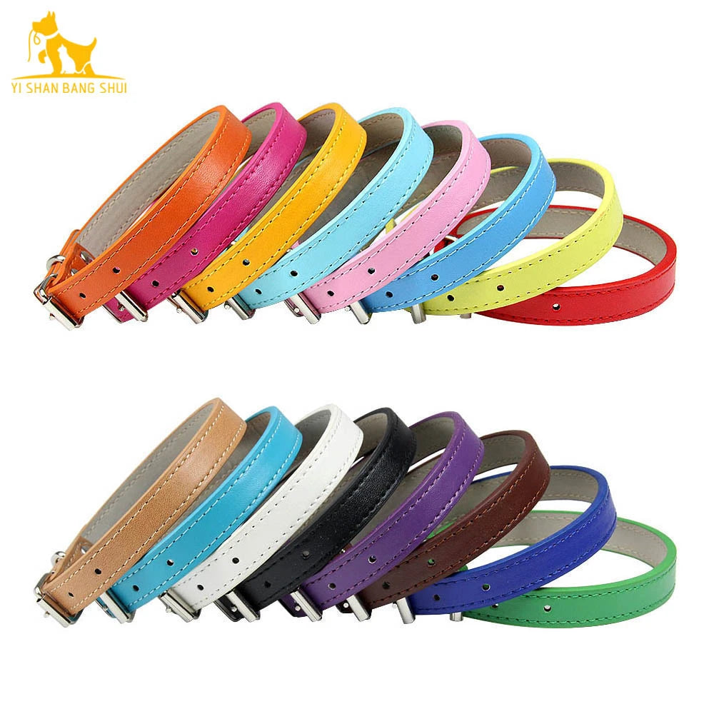 Collier en cuir souple pour chat, réglable et résistant