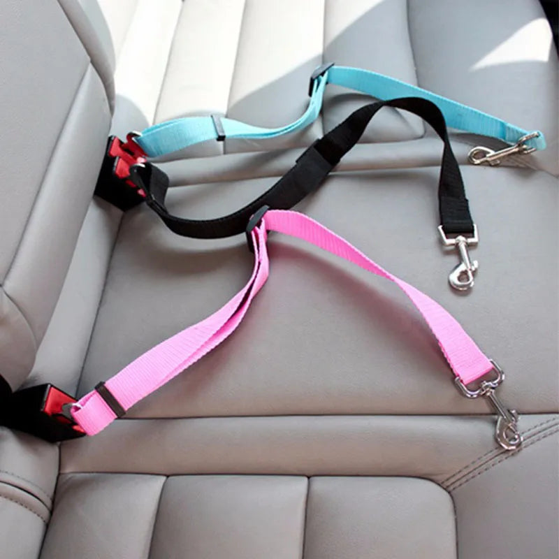 Ceinture de sécurité voiture pour chat