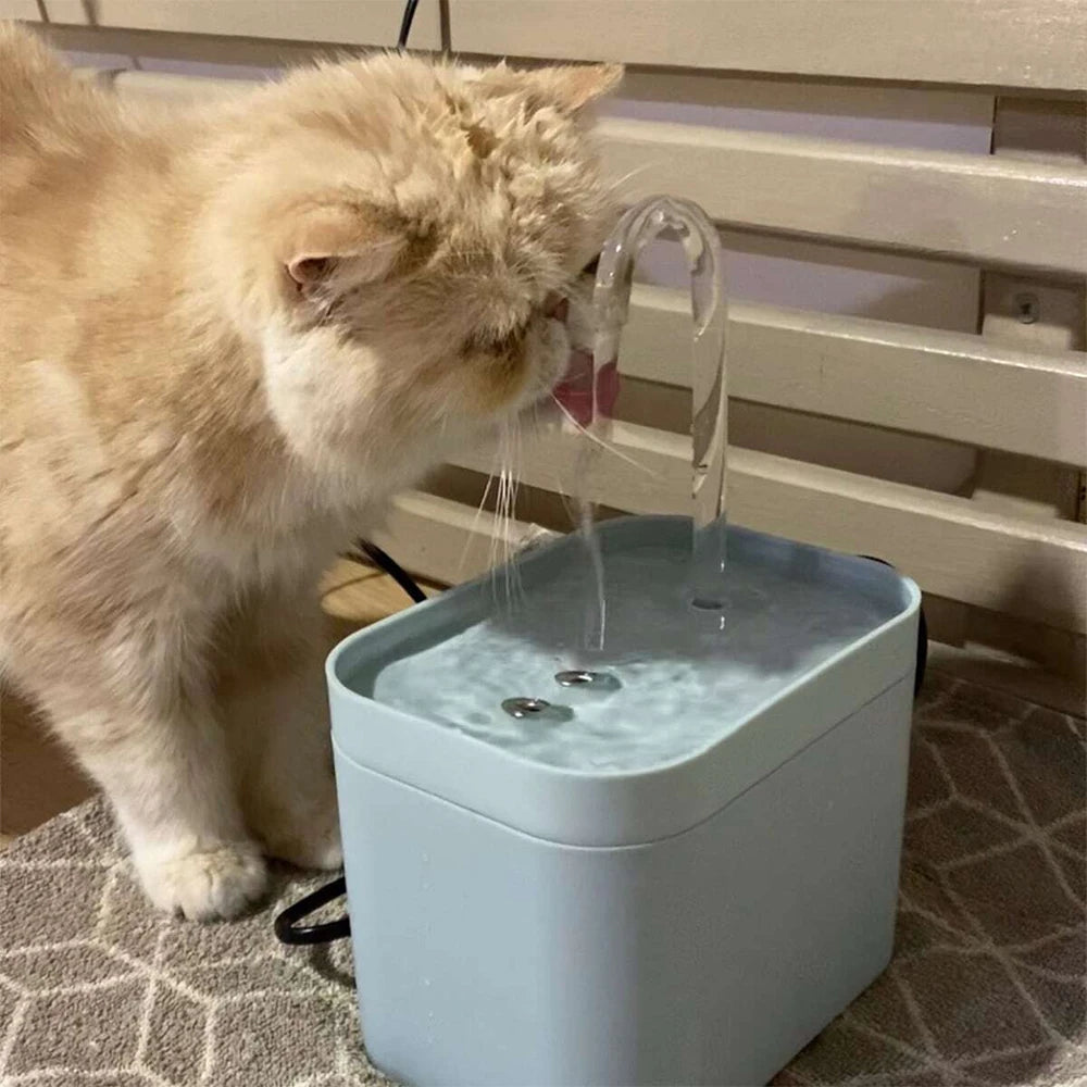 Fontaine à eau chat PETRAVEL avec boule de circulation