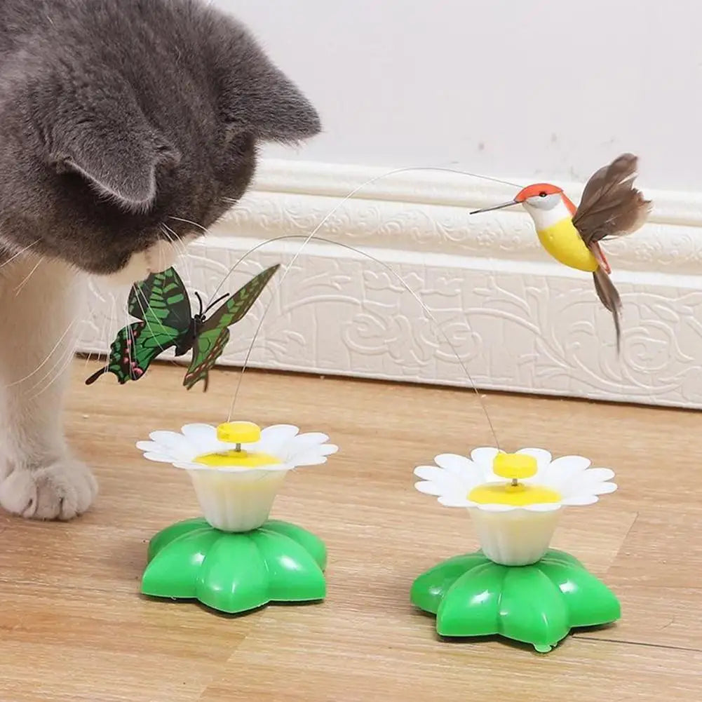 Papillon électrique pour chat, rotation 360°