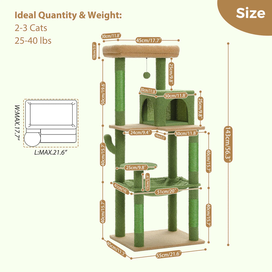 Document source des dimensions du produit