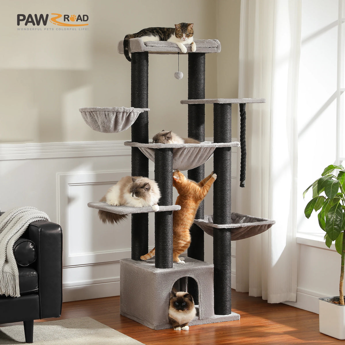 Arbre à chat Maine Coon robuste, 170 cm, charge 24 kg