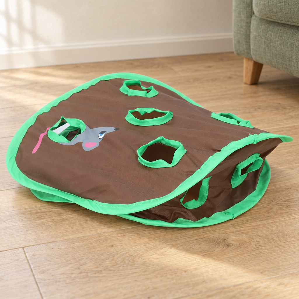 Tapis de jeu pour chat